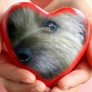 Meet your Posher, Margaret